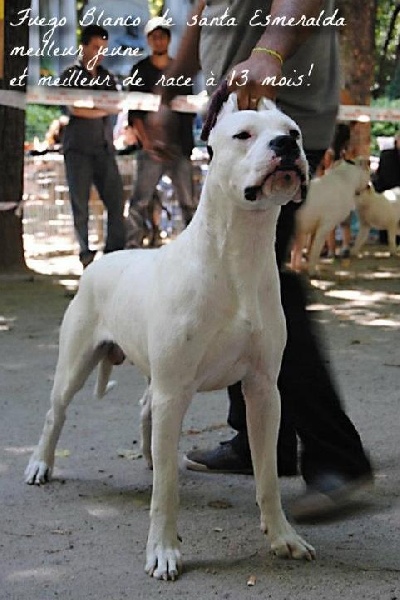 CH. Fuego blanco de santa esmeralda